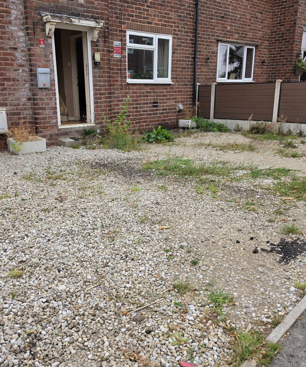 Home Backyard Renovation 1